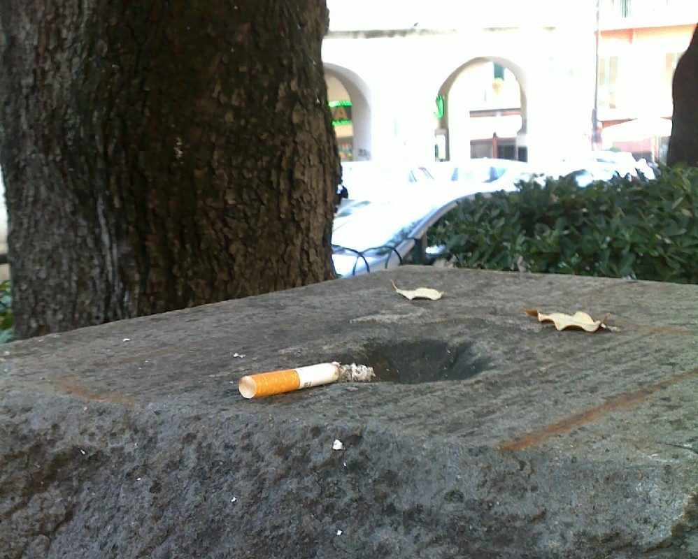 Tu che ti comporti così, mi fai schifo!