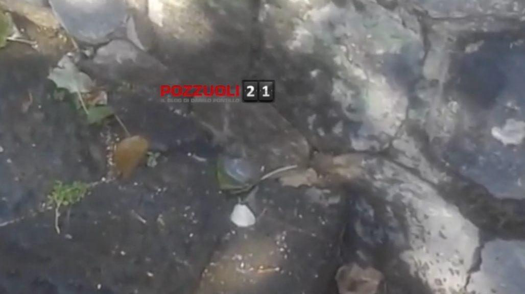 IL VIDEO/ Mistero sulle “Scale del Purgatorio”