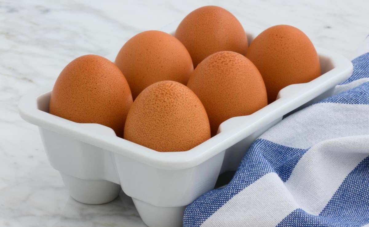 Uova, non buttare il loro contenitore | Puoi sfruttarlo in questo modo: ti facilita la vita in maniera incredibile