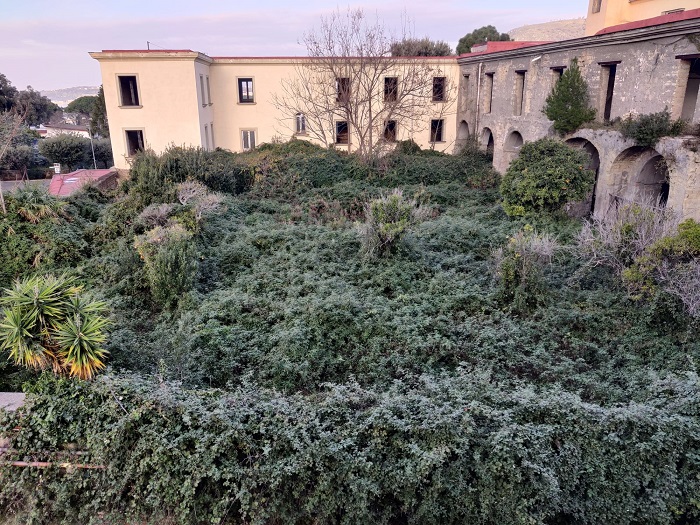 Ex assessore lancia l’sos: “Troppa incuria offerta ai turisti”