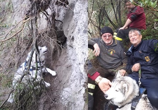 LE FOTO/ Cane scivola nel cratere di Monte Nuovo: salvato dai pompieri