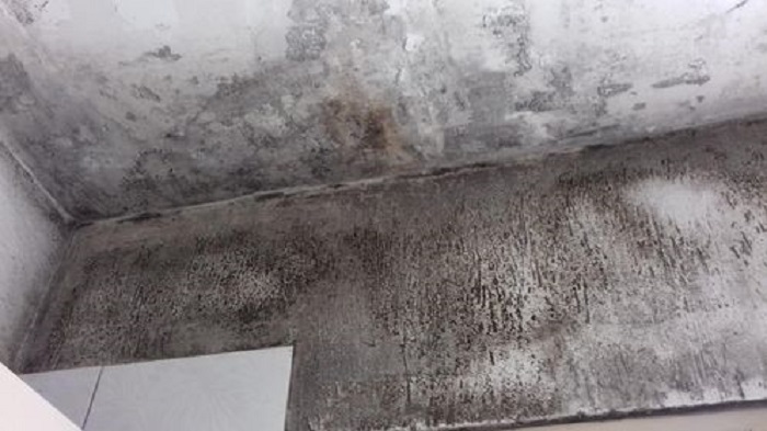 SOS dai 600 alloggi di Monterusciello: “Mia zia, malata di cancro, costretta a vivere qui nell’indifferenza del Comune”