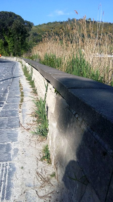 Lago d’Averno: sos dentro (bidoni sospetti) e fuori (i muretti collassano!)