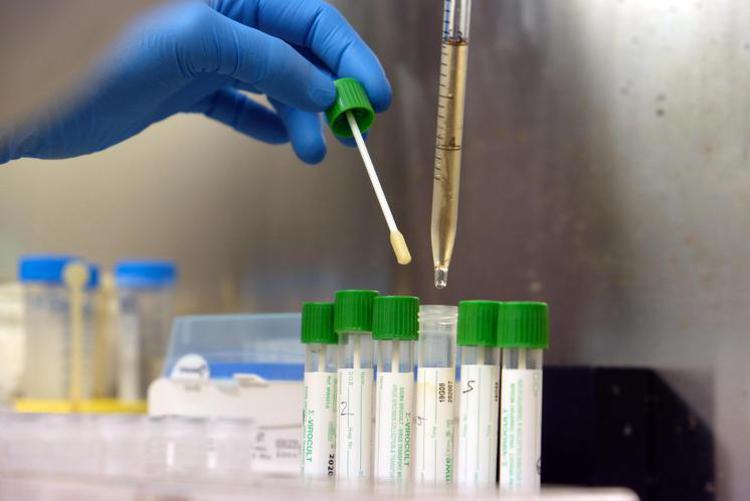 COVID A POZZUOLI/ Boom di contagiati: 422 nelle ultime 24 ore