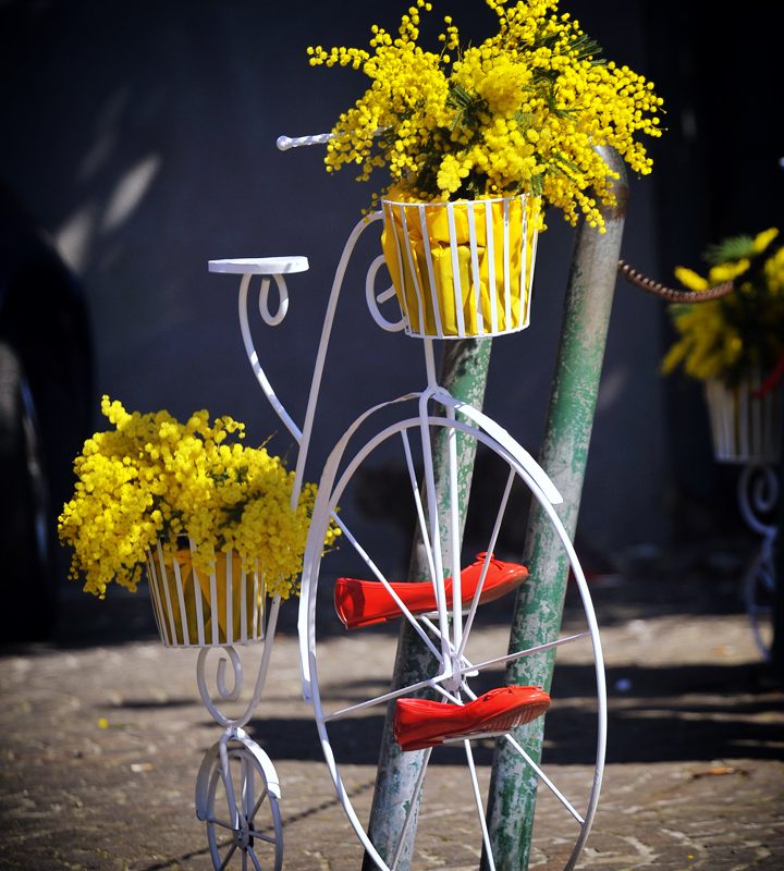 “Che bello quando il Comune collabora con i cittadini!”