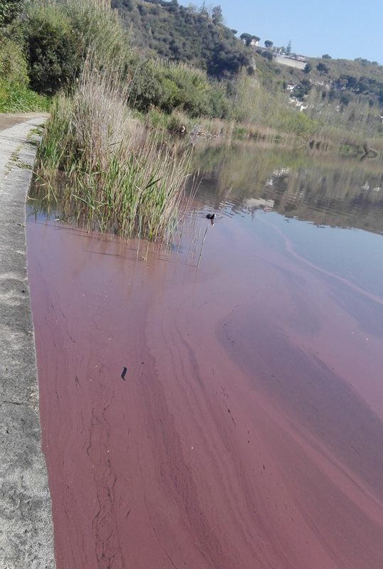 VIDEO/ Il lago d’Averno è diventato rosso!