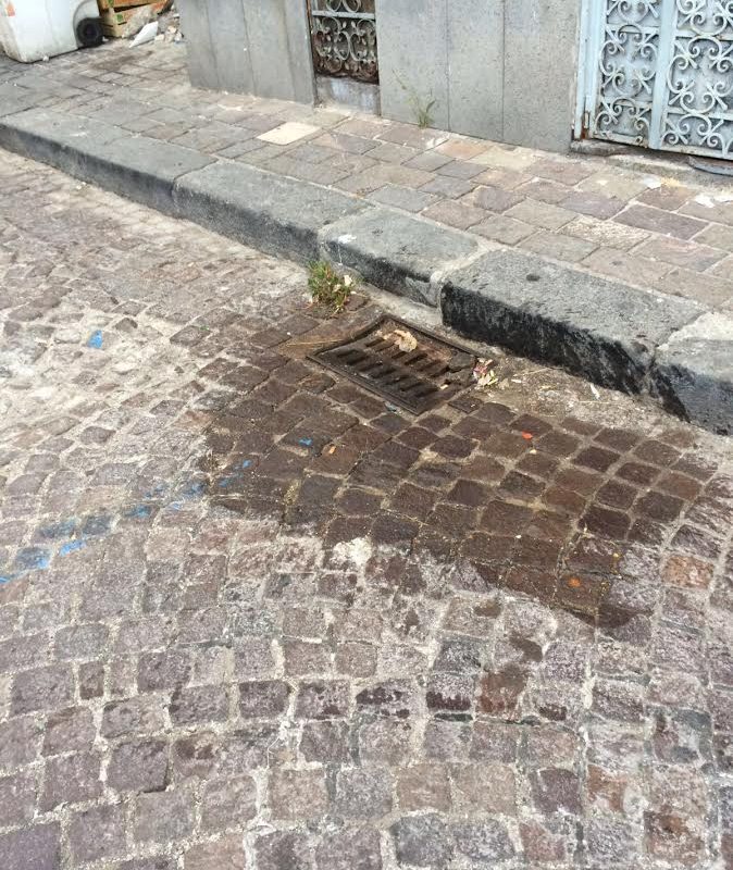 “Olio dei ristoranti scaricato nei tombini: fermiamo questo schifo!”