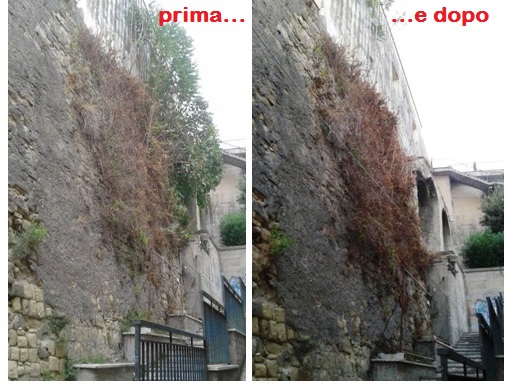 Comune ridicolo: si vanta della normalità e non elimina un pericolo!