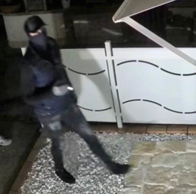 VIDEO/ Tentano il furto di notte in una villa: messi in fuga dalla proprietaria